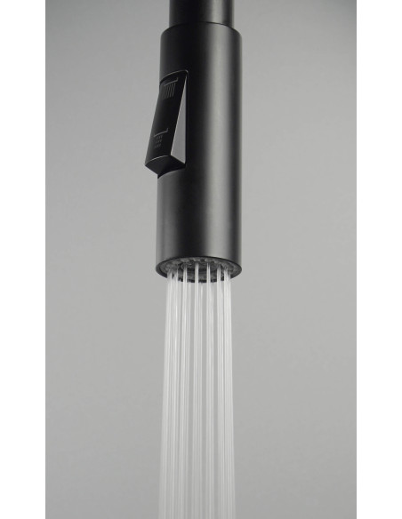 Deante Luno virtuves jaucējkrāns, ar locāmu snīpi - 2 straumes veidi BOC_N74M