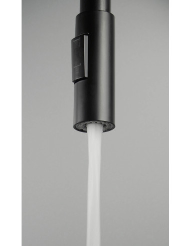 Deante Luno virtuves jaucējkrāns, ar locāmu snīpi - 2 straumes veidi BOC_N74M