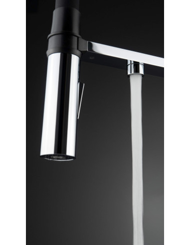 Deante magnētiskais virtuves jaucējkrāns ar ūdens filtra savienojumu, ar elastīgu snīpi BRM_075M