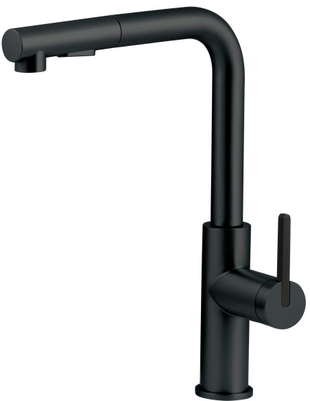 Deante Momi virtuves jaucējkrāns ar izvelkamu snīpi BKM_N73M