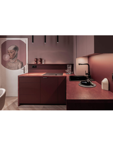 Deante Momi virtuves jaucējkrāns ar izvelkamu snīpi BKM_N73M