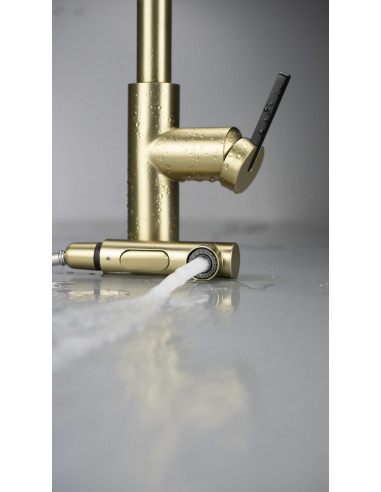 Deante Momi virtuves jaucējkrāns ar izvelkamu snīpi BKM_R73M