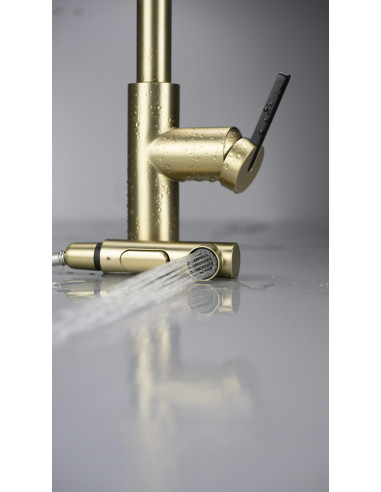 Deante Momi virtuves jaucējkrāns ar izvelkamu snīpi BKM_R73M