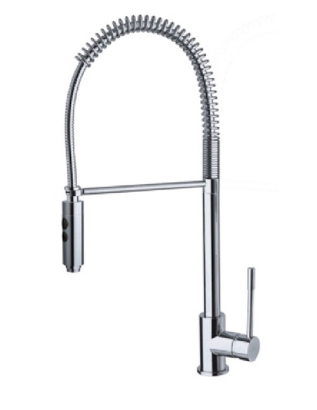 Kitchen sink faucet with a shower 12481, TECH