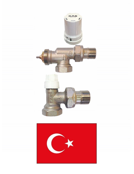 Компл.клапан обр.хода+термовент.акс+гол., KAS03