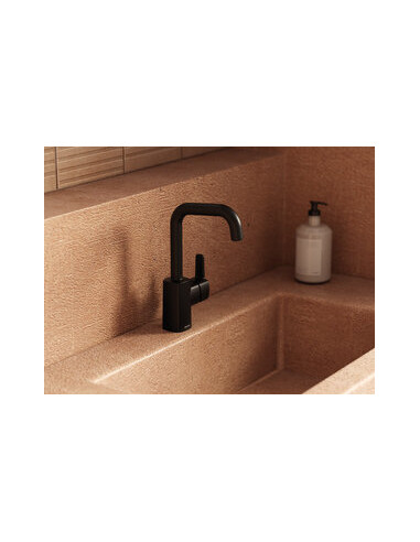 Damixa PINE BASIN G-SPOUT S17