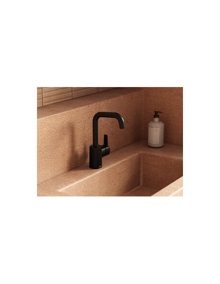 Damixa PINE BASIN G-SPOUT S17