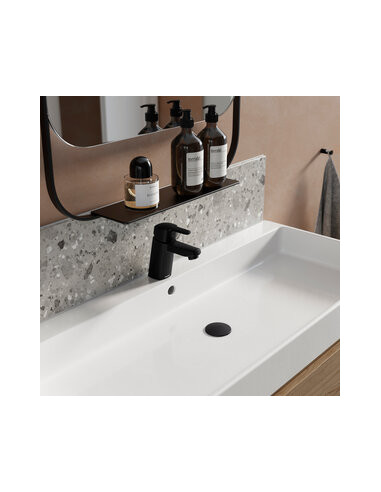 Pine izlietnes jaucējkrāns 170216100