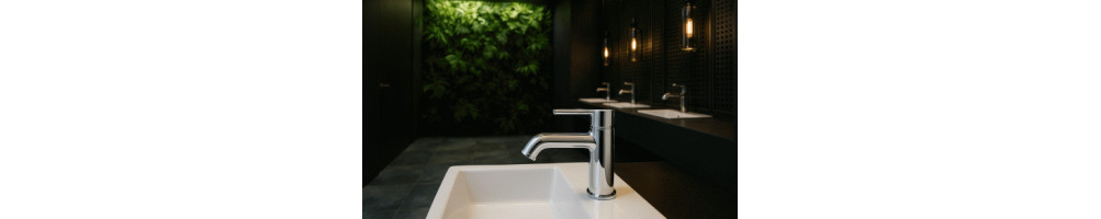 Faucets for the sink