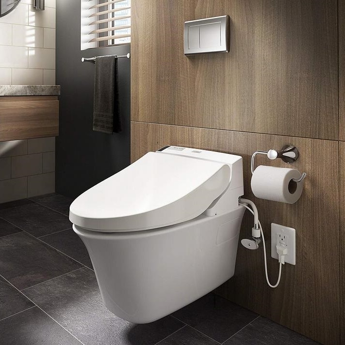 Toilets with bidets